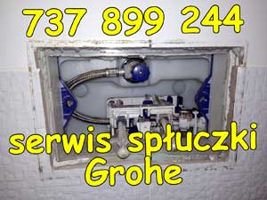 serwis spłuczki Grohe